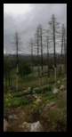 Evia - Cascadele Drimona -28-05-2023 - Bogdan Balaban